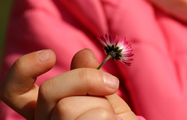 Spotting plants is a great way to learn about different species.