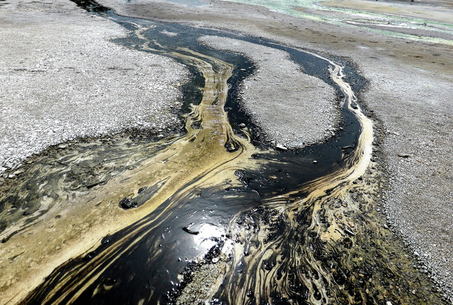 opponents-of-pipeline-argue-that-it-would-be-unsaf-cc0-pixabay-3282700-230427_download Opponents of pipeline argue that it would be unsafe, citing potential oil spills, destruction of habitats and harm to water sources.