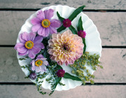 A white plate on a slatted wooden table. Flowers are on the plate.