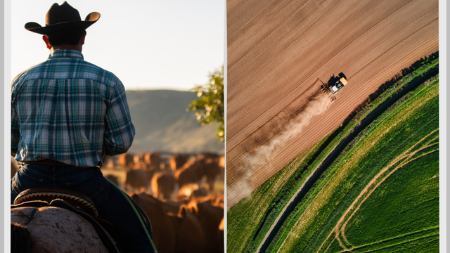 Ranch vs farm