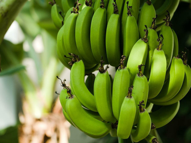 Go green with an unripe banana.