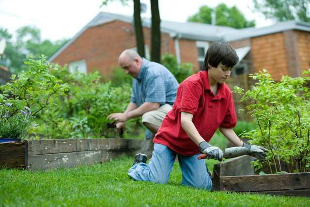 Transplanting seedlings into the garden or a larger container is a critical step in their growth and development.