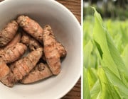 How to grow turmeric at home