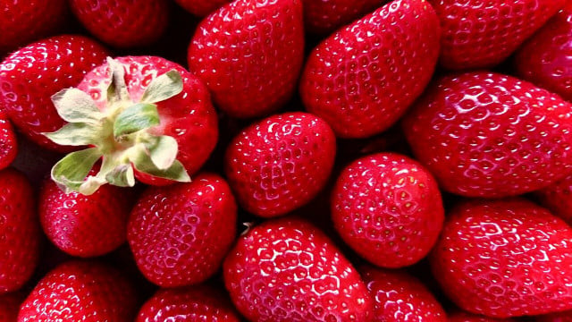 Make sure your strawberry plants get at least six hours of sunlight every day.