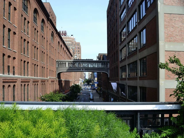 Explore the High Line, home to many species of plants, birds, and insects.
