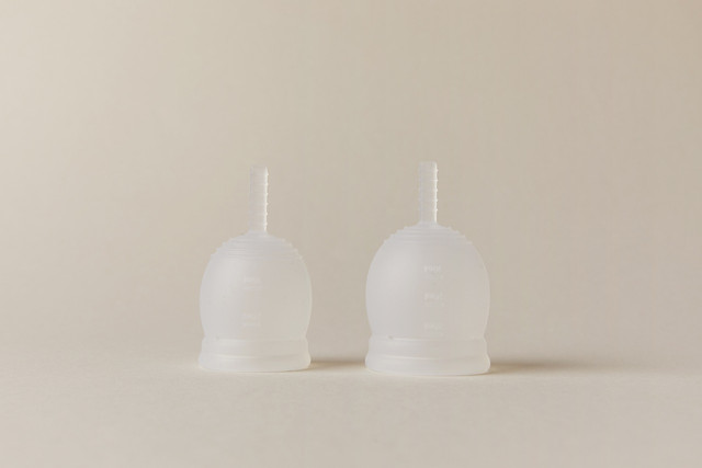 a-menstrual-cup-is-inserted-into-the-vagina-and-co-cc0-pixabay-17749580-220423_download A menstrual cup is inserted into the vagina and collects your blood.