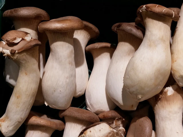 Fermenting mushrooms is a popular way to preserve mushrooms in the Slavic world, and this recipe draws from its influence.