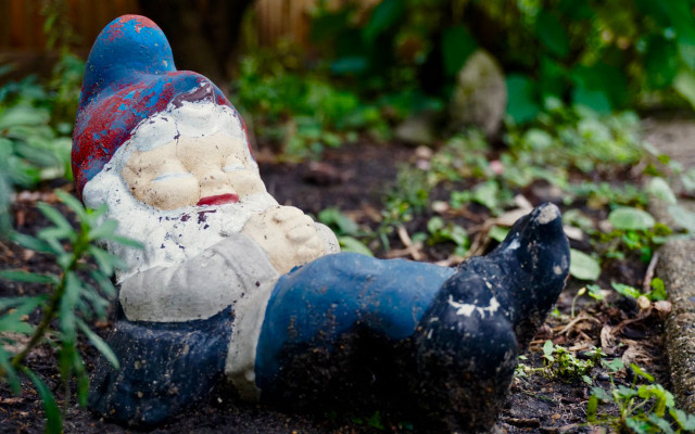 Improve your immune system limit stress garden gnome