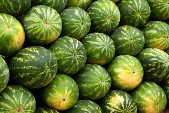 Wondering when to pick watermelon? Check to see if the field spot has turned yellow.