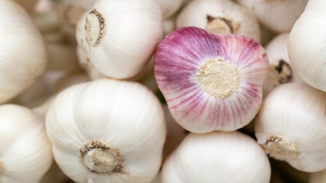 how to preserve garlic