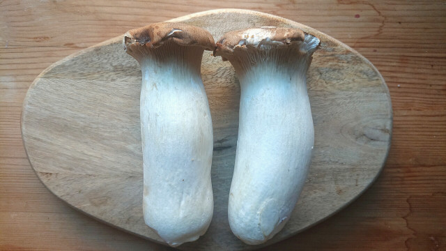 King oyster mushrooms have the perfect texture to replace traditional squid in your vegan calamari, without being rubbery!