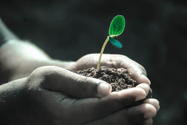 At the heart of the Save Soil movement is a shared concern about soil degradation.