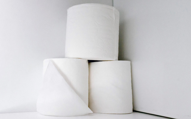 toilet paper alternatives