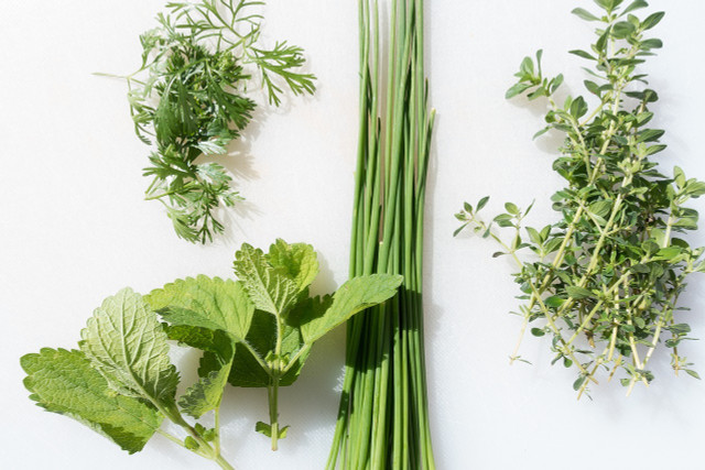 You can dry some of your herbs to make seasonings.