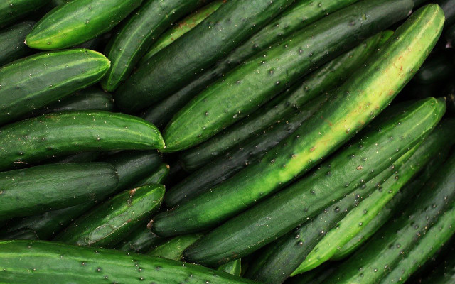 cucumbers