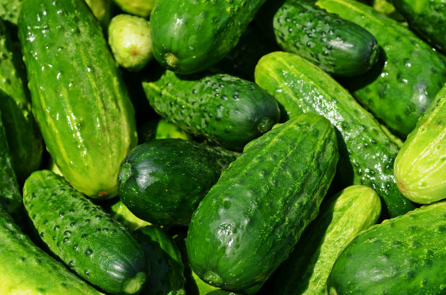Cucumber are in fact a fruit that is often thought of as a vegetable.