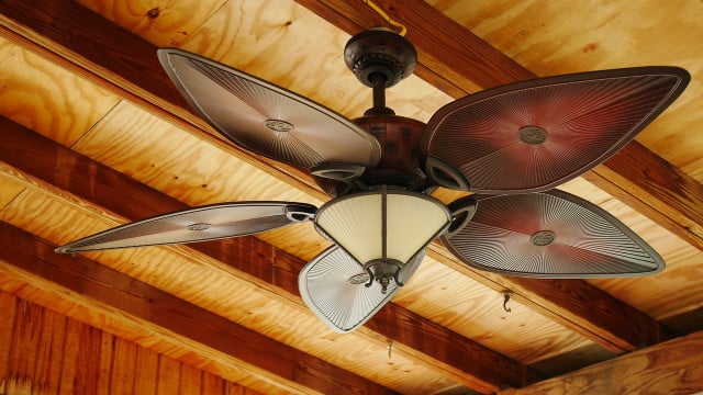 Which way should a ceiling fan spin in summer? Counterclockwise will help create a cooling breeze.