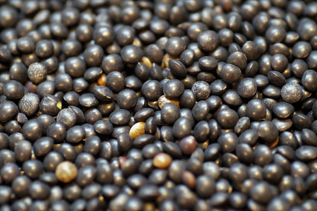 Black lentils are a food that is good for the brain and memory.