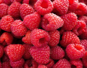 how to store raspberries