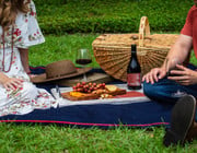 picnic date ideas