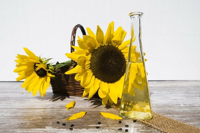 Sunflower oil has both nutritional and medicinal benefits