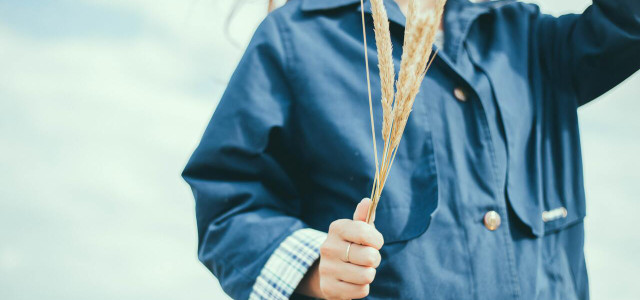 wheat straw plates