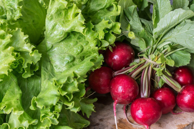 Radishes can add a pop of color and nutrition to a vibrant fall harvest salad. 