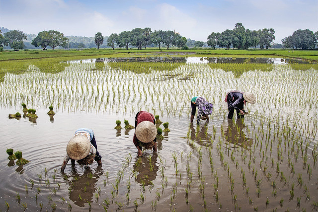 There are many environmental, societal and economic benefits to sustainable agriculture. 