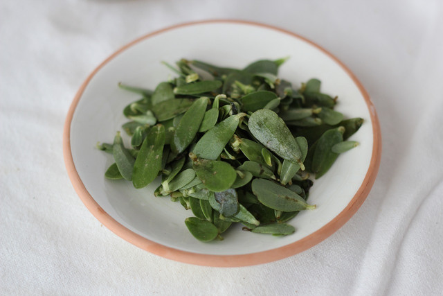 Purslane is edible and tastes great on its own.