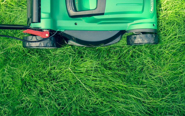 To reap the most from what you sow, plant grass seeds in the late summer or early fall. 