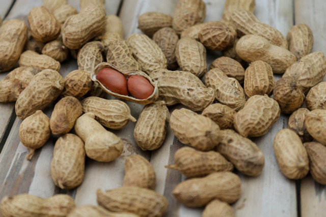 Native to South America, peanuts have made their way over to America, and are thriving.
