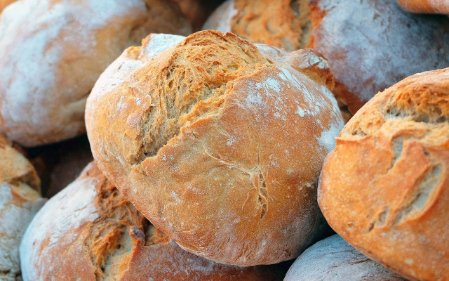 Is bread vegan? How to distinguish vegan bread common brands and ingredients