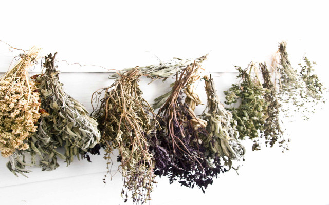 air drying herbs 
