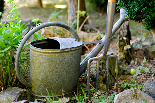 Protect your growing plants and make sure they are well-watered.