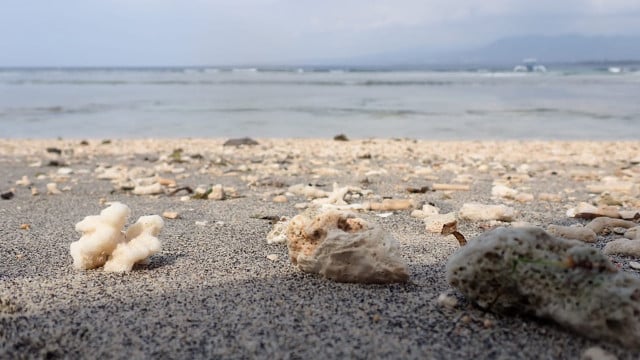 Microplastics in the oceans: sources
