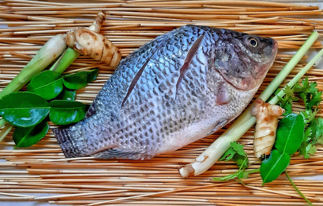 farmed-in-cramped-conditions-where-they-get-sick-cc0-pixabay-6809042-230324_download Farmed in cramped conditions, where they get sick, given antibiotics, hormones and chemicals. Yum!