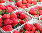 Storing strawberries how to keep strawberries fresh