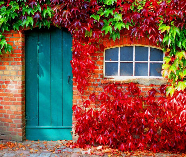 Once signs of autumn start to show, it's a good idea to seal off the entry points to your house.