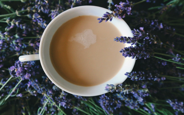 lavender-calming-tea