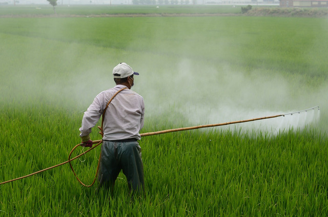 Pesticides and herbicides are used in conventional farming and have been linked to health problems.