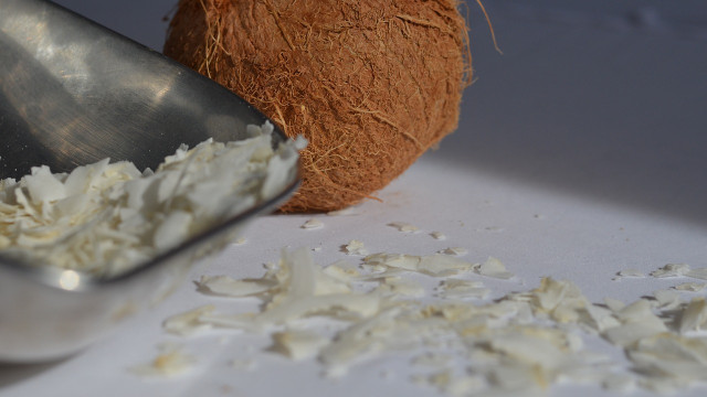 coconut flour substitute