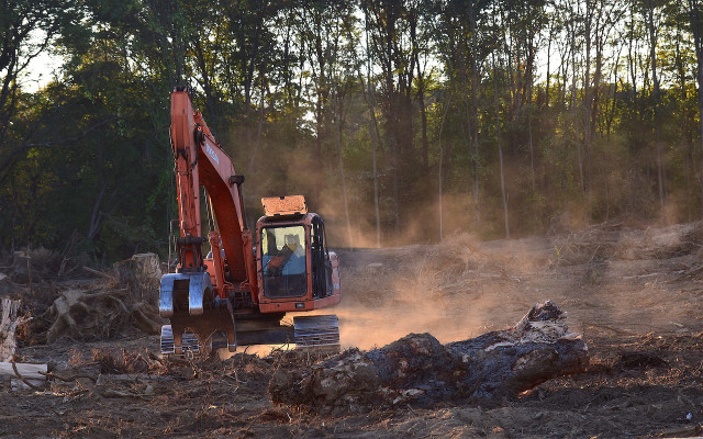 deforestation-pb-robert-jones-240321-1280x800-1 ecosystem in rainforest