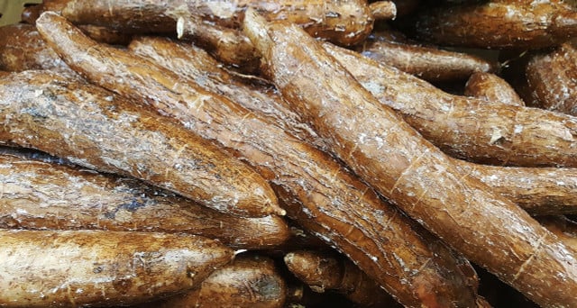 Arrowroot is native to Central and South America and has been cultivated since 8200 BCE.