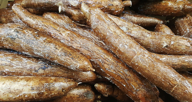 Arrowroot is native to Central and South America and has been cultivated since 8200 BCE.