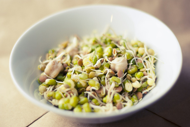 Bean sprouts are not only a low FODMAP vegetable, they are also a great source of plant-based protein.