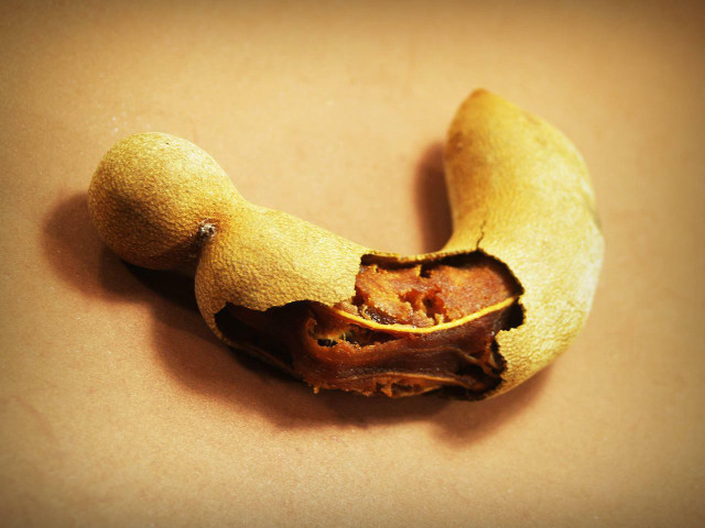 Tamarind gets sweeter the more ripe the fruit becomes.