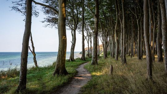 hiking by the beach