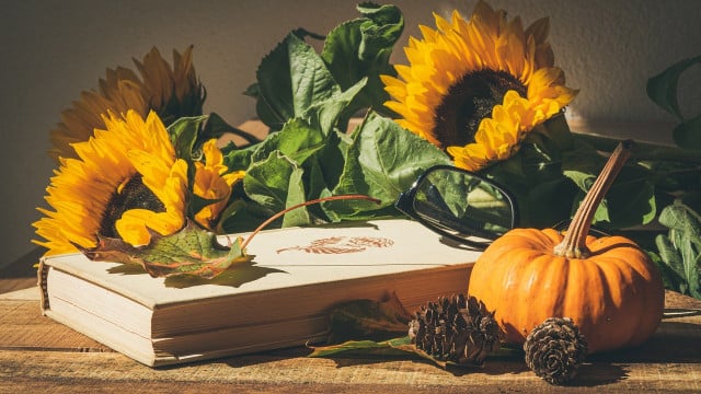 how to preserve sunflowers