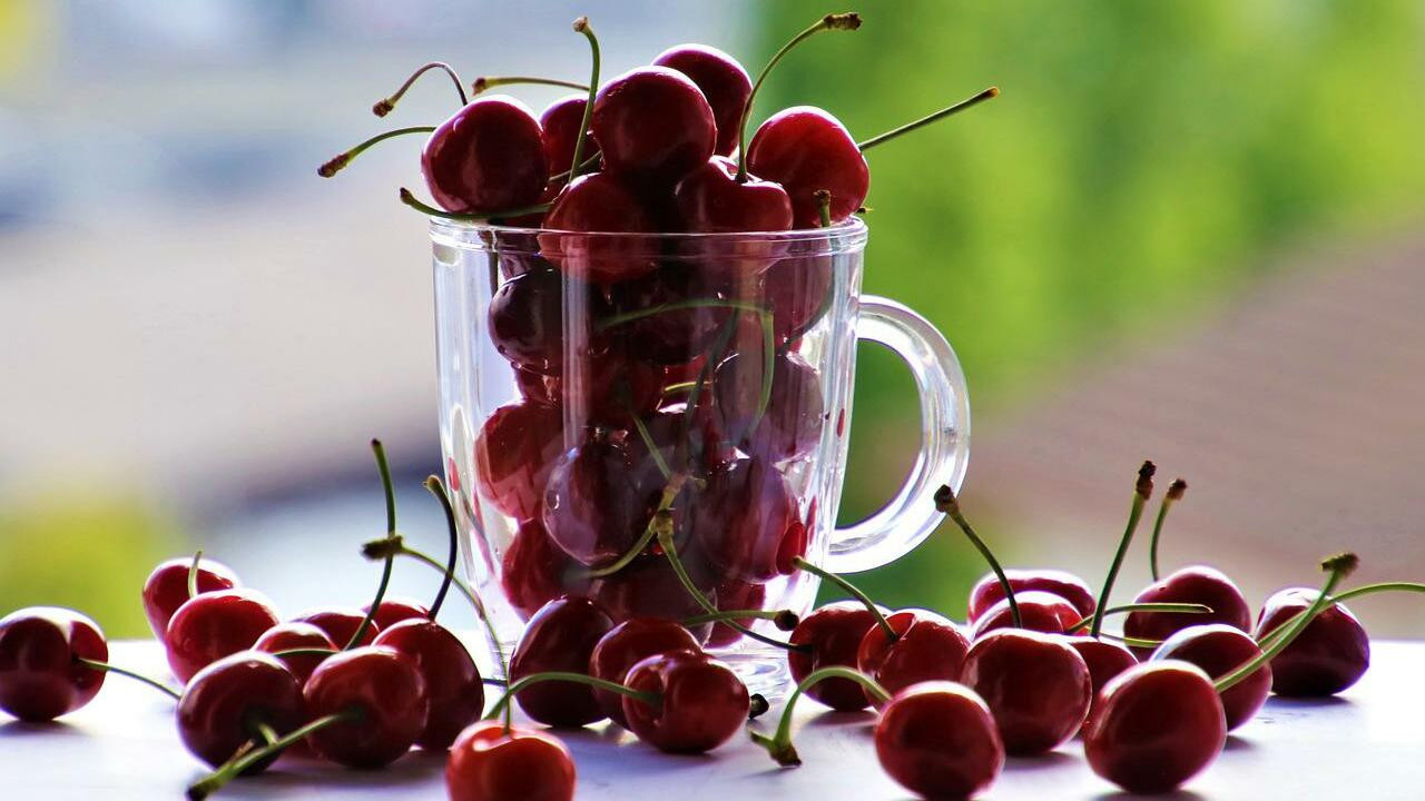 https://images.utopia.org/llp4k5c5n7ABYXH_WUSOKk2w3KJ18hq_GUFx9RCY-6Y/rt:fill/w:1280/h:720/g:ce/plain/2022/05/pickled-cherries-cc0-pixabay-pasja1000-220509.jpg