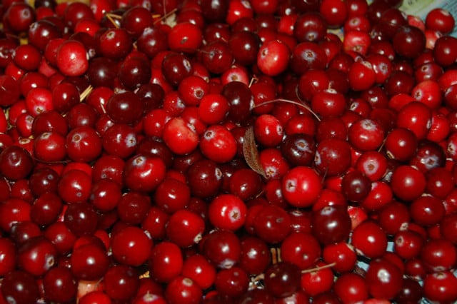 Cranberries are bursting with benefits.